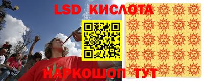 Альфа ПВП Новодвинск