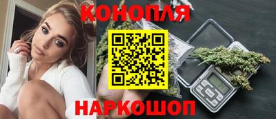 Альфа ПВП Новодвинск