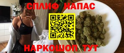 спиды Обь