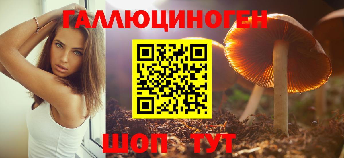 Пушкино  Псилоцибиновые грибы ЛСД  Вход с VPN  Галлюциногенные грибы Psilocybine cubensis 